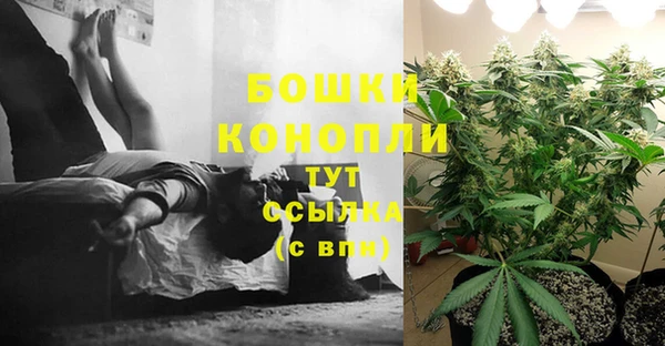 трава Беломорск