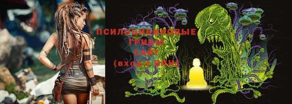 тгк Белоозёрский