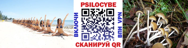 Галлюциногенные грибы MAGIC MUSHROOMS  где продают наркотики  блэк спрут вход  Киренск 